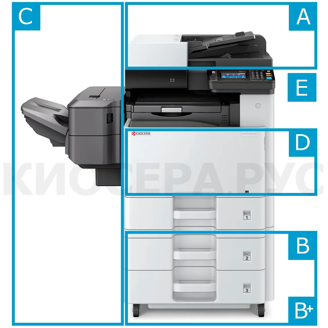 Kyocera ECOSYS M8124cidn - опции