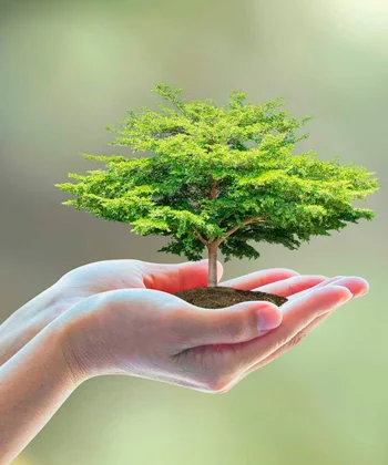 Kyocera ECOSYS - caring for the environment