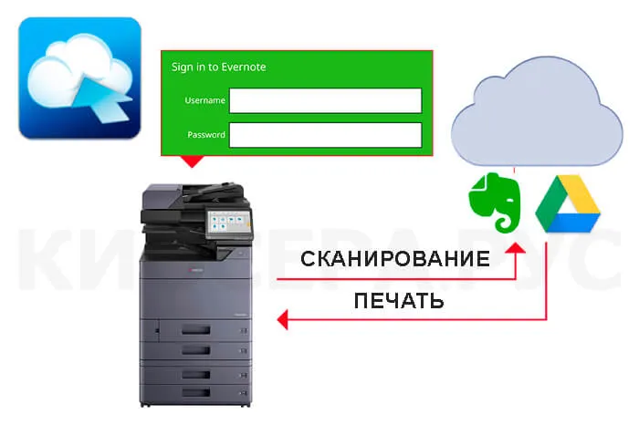 Kyocera TASKalfa MZ4000i - интеграция с Evernote и Google Drive