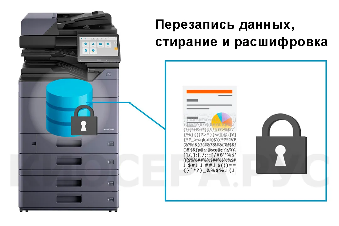 Kyocera TASKalfa MZ4000i - шифрование данных