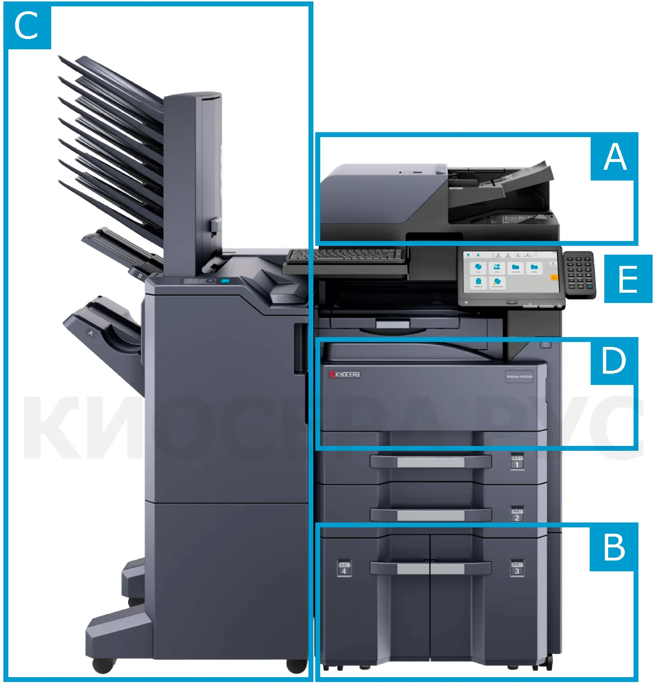 Kyocera TASKalfa MZ4000i - Options